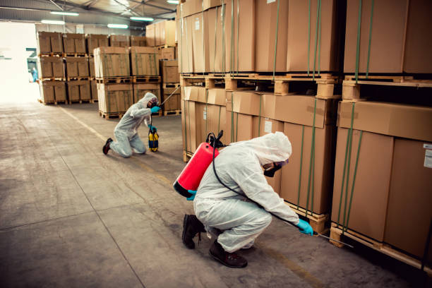 Best Wasp Removal Services  in Hardeeville, SC