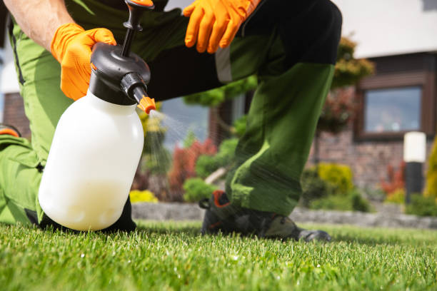 Flea Control Services in Hardeeville, SC