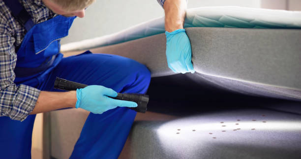 Best Pest Control for Businesses  in Hardeeville, SC